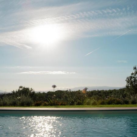 Glamping Suite Il Grillo Lamporecchio Eksteriør billede
