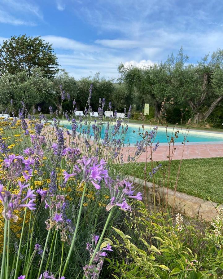 Glamping Suite Il Grillo Lamporecchio Eksteriør billede
