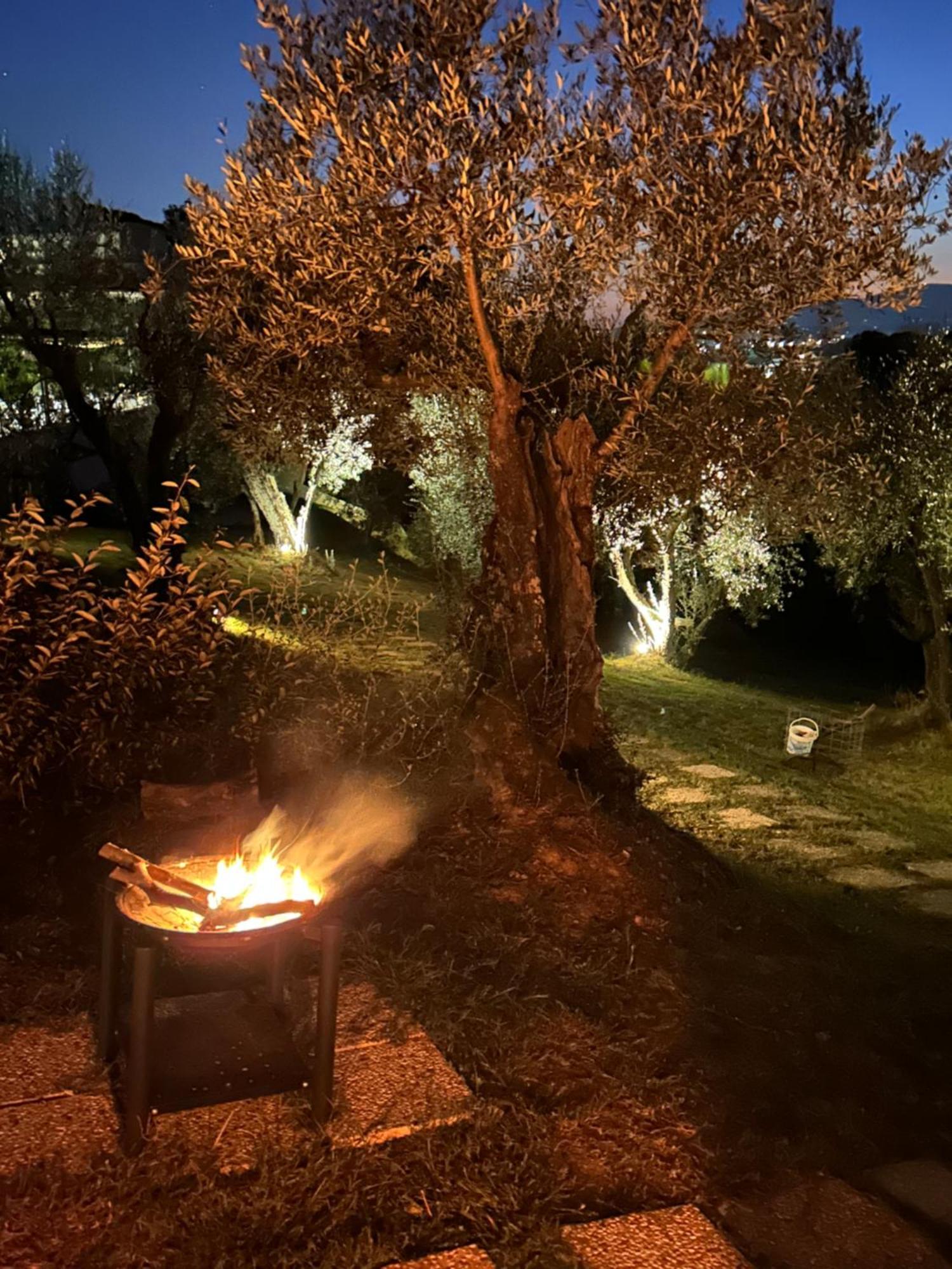 Glamping Suite Il Grillo Lamporecchio Eksteriør billede